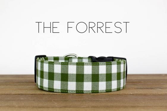 The Forrest