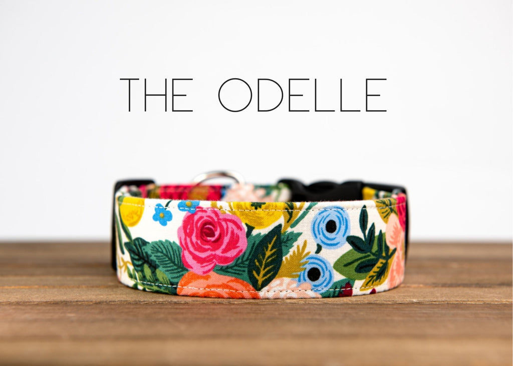 The Odelle