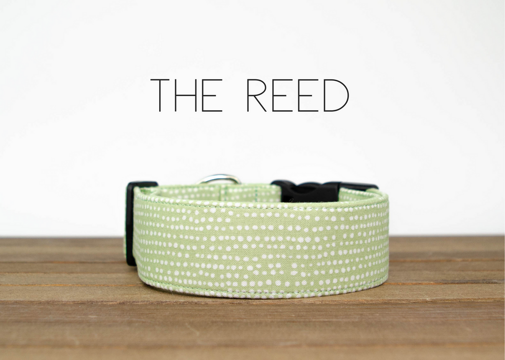 The Reed