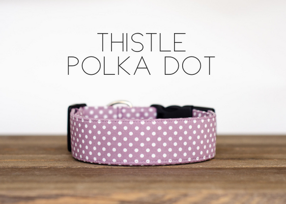 Thistle Polka Dot