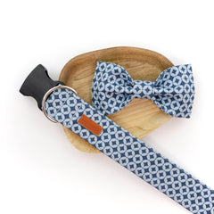 The Bruno Bowtie