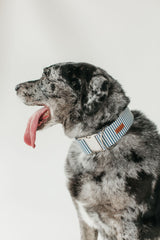 Storm Stripe