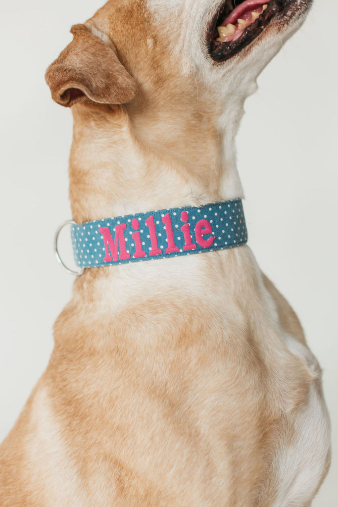 Embroidered dog collars and leashes clearance