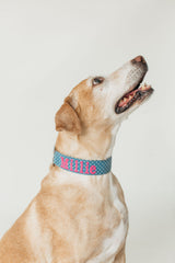 Embroidered Collar